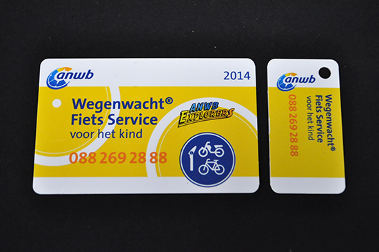 Customer Loyalty Plastic Membership ID Cards with Detachable Key Ring